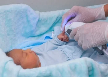 Todos os documentos emitidos terão validade legal - Foto: Divulgação