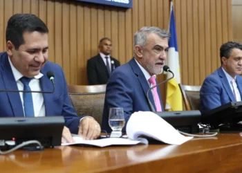 Sessão Plenária - foto Aline Batista