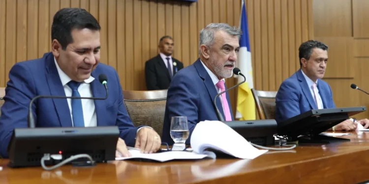 Sessão Plenária - foto Aline Batista