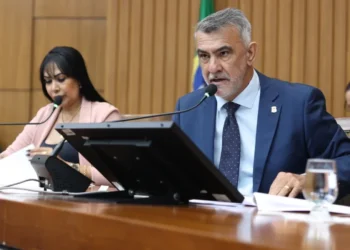 Sessão plenária -Foto Aline Batista