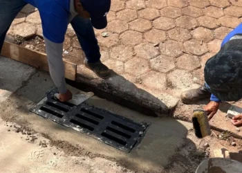 Fotos:
 Divulgação Seiop