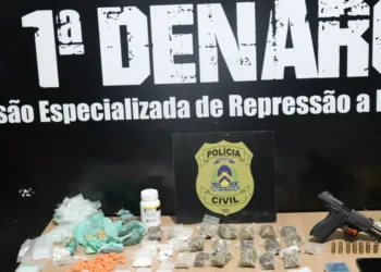 Dezenas de porções de drogas e arma de fogo foram apreendidas durante a ação. Foto-João Guilherme Lobasz -DICOM SSP TO