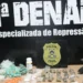 Dezenas de porções de drogas e arma de fogo foram apreendidas durante a ação. Foto-João Guilherme Lobasz -DICOM SSP TO