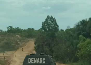 Ação faz parte da operação Protetor e terá continuidade. Crédito -Foto Dicom SSP TO
