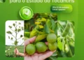 Adapec promove curso sobre desafios e estratégias fitossanitárias para o Tocantins
