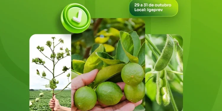 Adapec promove curso sobre desafios e estratégias fitossanitárias para o Tocantins