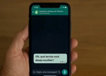 Crédito: Divulgação/Secom Palmas