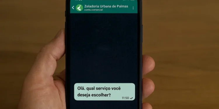 Crédito: Divulgação/Secom Palmas