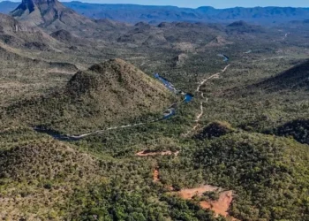 MapBiomas: Cerrado perdeu 40 milhões de hectares nos últimos 40 anos