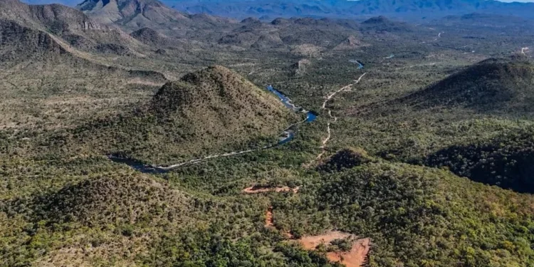 Foto: Alvaní Torres