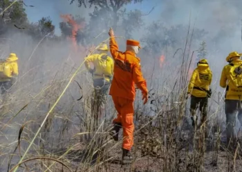 Bombeiros militares e brigadistas combatem incêndio florestais — Foto: Luiz Henrique Machado/Governo do Tocantins