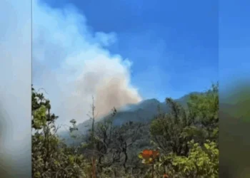 Incêndio na Chapada dos Veadeiros atinge mais de 2 mil hectares