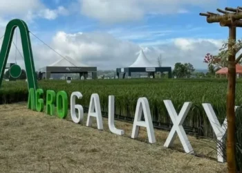 Grupo Agrogalaxy está em recuperação judicial desde setembro de 2024 — Foto: Reprodução/Facebook