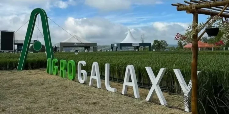 Grupo Agrogalaxy está em recuperação judicial desde setembro de 2024 — Foto: Reprodução/Facebook