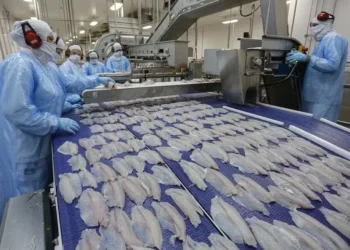 Paraná lidera a produção nacional, seguido por São Paulo, Minas Gerais, Santa Catarina e Mato Grosso do Sul — Foto: C.Vale