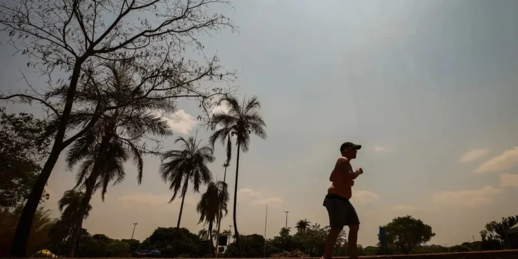 foto: BRENO ESAKI/METRÓPOLES @BrenoEsakiFoto