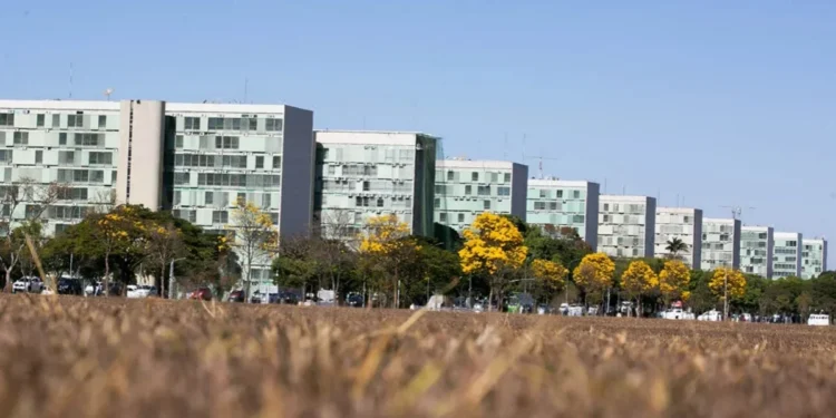 Rafaela Felicciano/Metrópoles