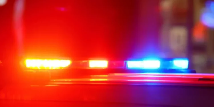 Douglas Sacha/Getty Images