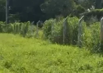 Estádio Castanheirão: E o descaso continua…
