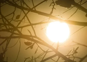 Vários estados têm alerta de baixa umidade do ar; confira o clima