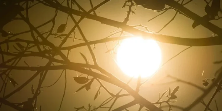 Foto: Vinícius Schmidt /Metrópoles @vinicius.foto