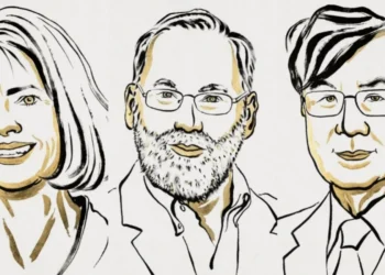 Tolerância imunológica: entenda descoberta que rendeu Nobel a médicos