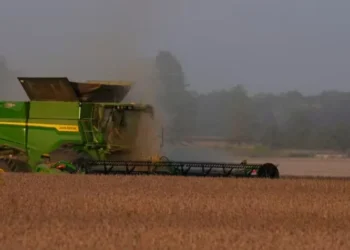 Trump prepara ajuda de até US$ 14 bi para agricultores afetados por guerra comercial, dizem veículos