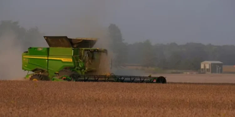 Produção de soja em Indiana, nos Estados Unidos — Foto: AP Photo/Michael Conroy