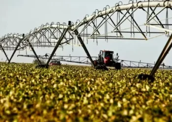 País tem 2,2 milhões de hectares irrigados por pivôs centrais — Foto: Getty Images