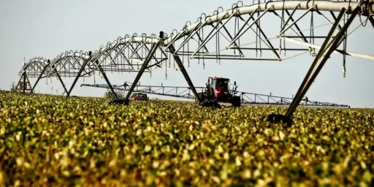 País tem 2,2 milhões de hectares irrigados por pivôs centrais — Foto: Getty Images