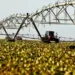 País tem 2,2 milhões de hectares irrigados por pivôs centrais — Foto: Getty Images