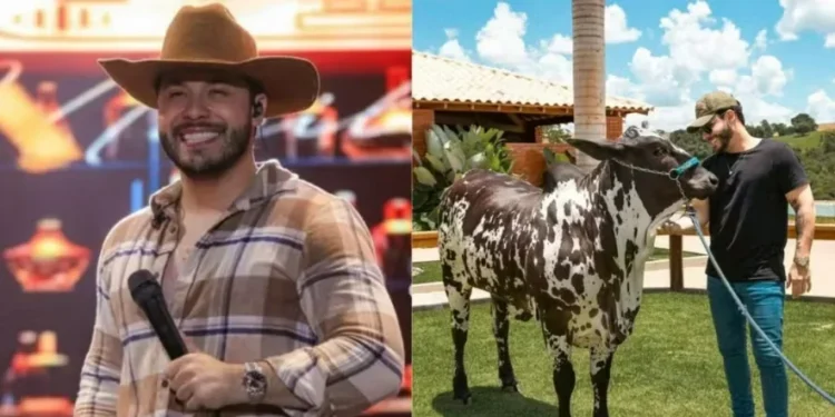 Murilo Huff fatura com criação de gado Nelore — Foto: Arquivo Pessoal