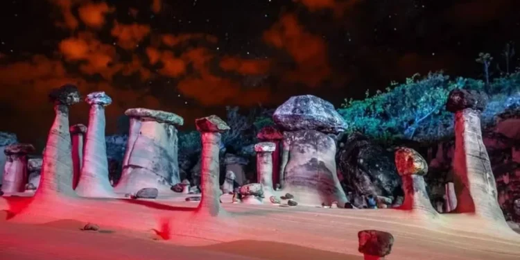 Foto: Divulgação/Lucas Ninno