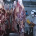 Mesmo com tarifaço, exportação de carne bovina do Brasil bate novo recorde em setembro — Foto: Kleiber Arantes/ Governo do Tocantins