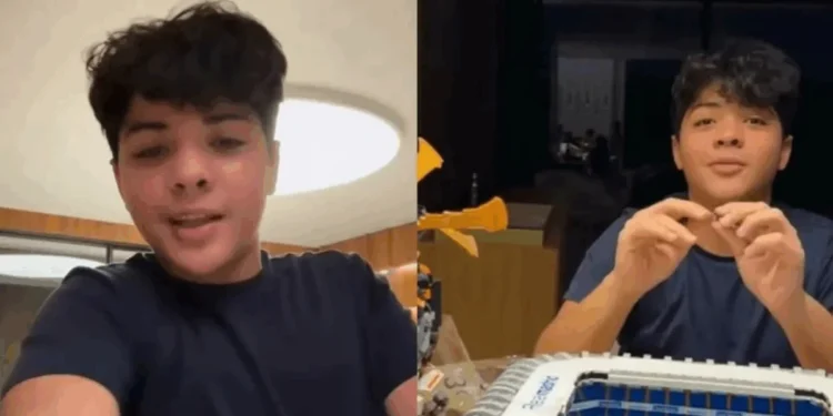 Reprodução/Instagram – @mileidemihaile