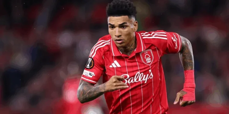 Robbie Jay Barratt – AMA/Getty Images