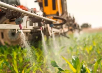 Prática pode trazer impactos sociais, ambientais e econômicos — Foto: Globo Rural