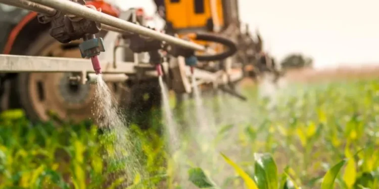 Prática pode trazer impactos sociais, ambientais e econômicos — Foto: Globo Rural