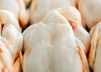 No acumulado do ano, foram embarcadas 3,876 milhões de toneladas — Foto: Canva/Creative Commons