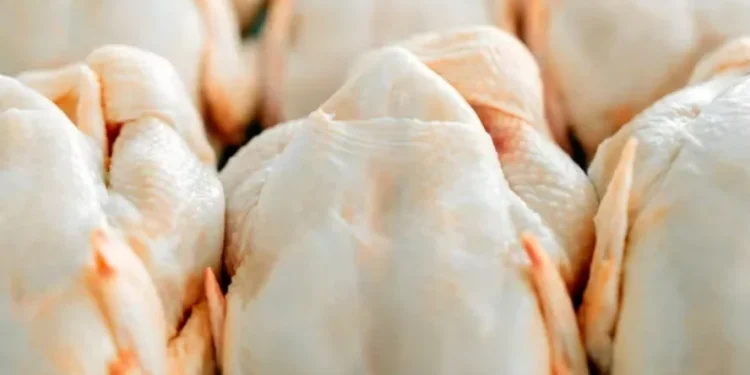 No acumulado do ano, foram embarcadas 3,876 milhões de toneladas — Foto: Canva/Creative Commons