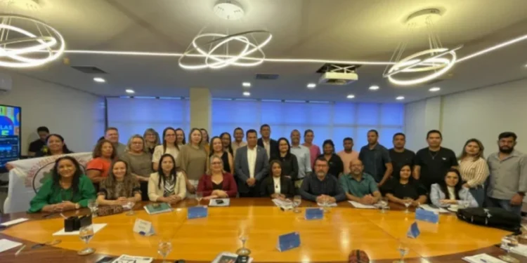 O Cacs tem como principal função acompanhar e fiscalizar a distribuição, a transparência e a aplicação dos recursos do Fundeb - Foto: Seduc/Governo do Tocantins