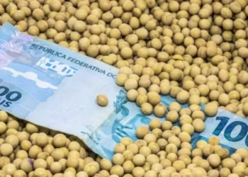 Reclamação é em relação a dificuldades de acesso a novos financiamentos do Plano Safra 2025/26 e às renegociações de dívidas — Foto: Getty Images