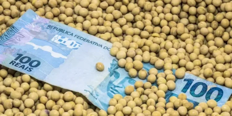 Reclamação é em relação a dificuldades de acesso a novos financiamentos do Plano Safra 2025/26 e às renegociações de dívidas — Foto: Getty Images