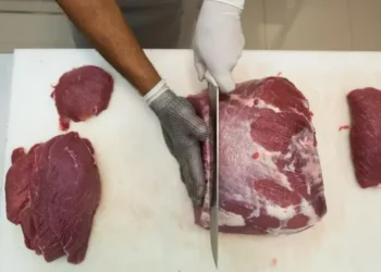 A China é a principal compradora da carne bovina brasileira, seguida pela União Europeia — Foto: Wenderson Araújo/CNA