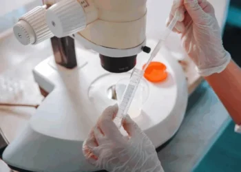 Natalia Lebedinskaia/Getty Images