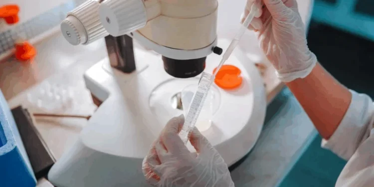 Natalia Lebedinskaia/Getty Images