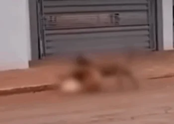 Reprodução/ Babalizando MS