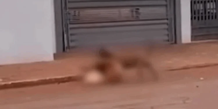 Reprodução/ Babalizando MS