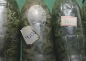 Foto: Reprodução/Redes sociais