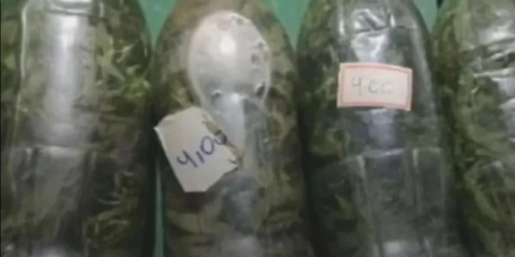 Foto: Reprodução/Redes sociais